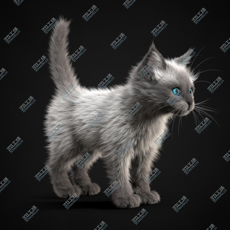 images/goods_img/202104092/Kitten White/2.jpg